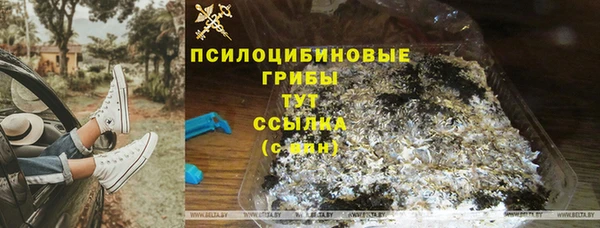 ECSTASY Коряжма