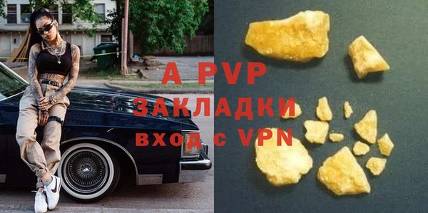 ECSTASY Коряжма