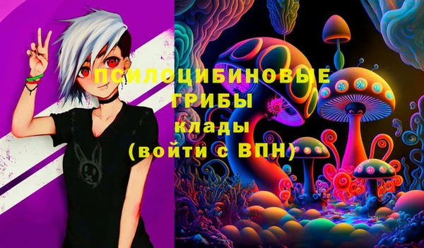 ECSTASY Коряжма