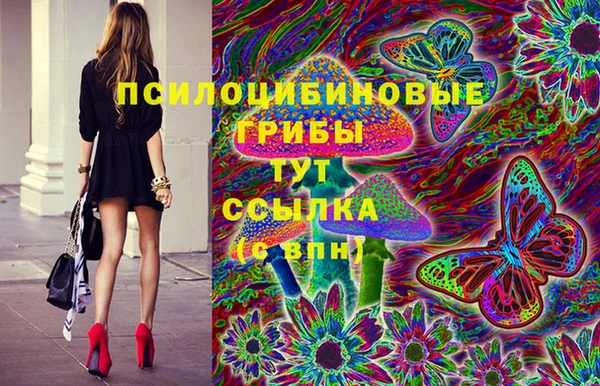 ECSTASY Коряжма